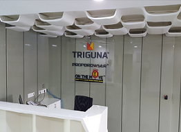 TRIGUNA PROJECTS, BANGALORE